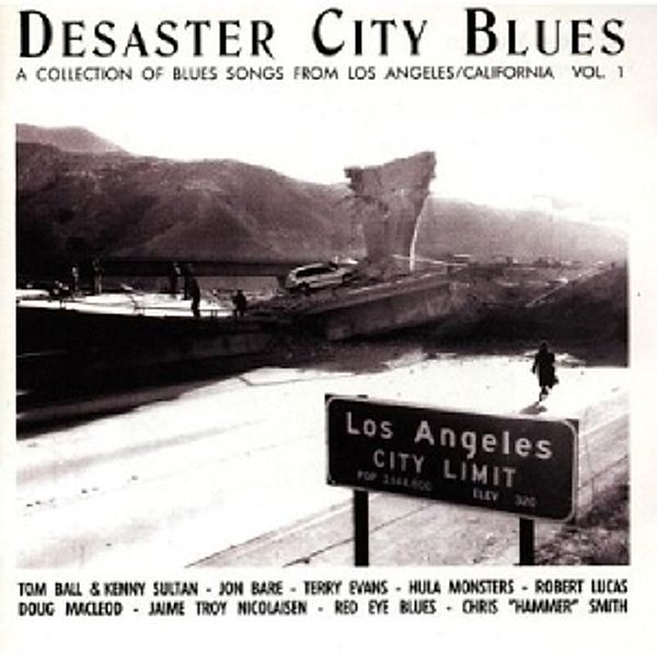 Desaster City Blues-Vol.1, Diverse Interpreten