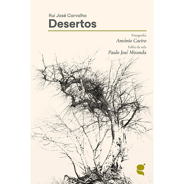 Desertos, Rui José Carvalho
