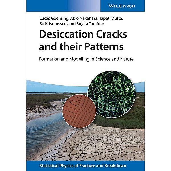 Desiccation Cracks and their Patterns / Statistical Physics of Fracture and Breakdown, Lucas Goehring, Akio Nakahara, Tapati Dutta, So Kitsunezaki, Sujata Tarafdar