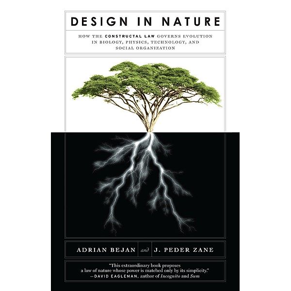 Design in Nature, Adrian Bejan, J. Peder Zane