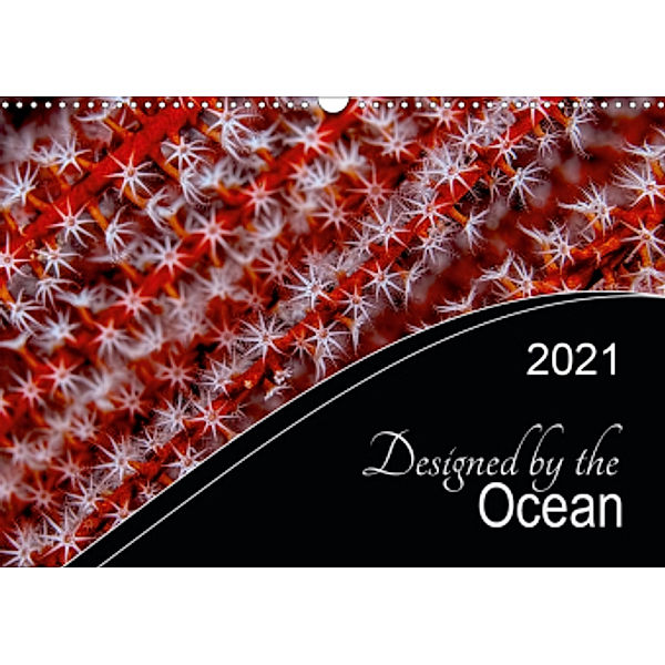 Designed by the Ocean (Wall Calendar 2021 DIN A3 Landscape), Henry Jager