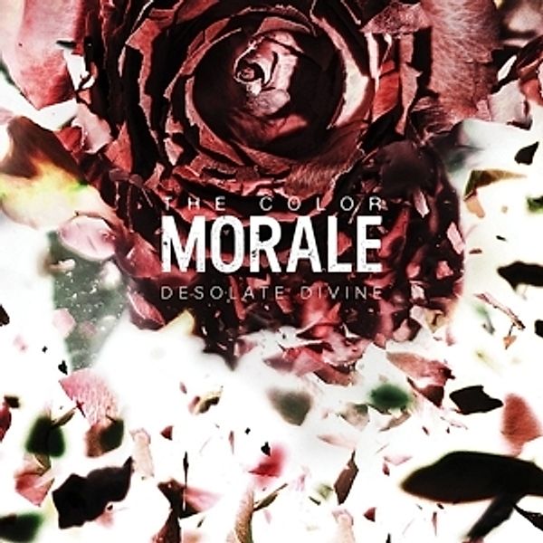 Desolate Divine, The Color Morale