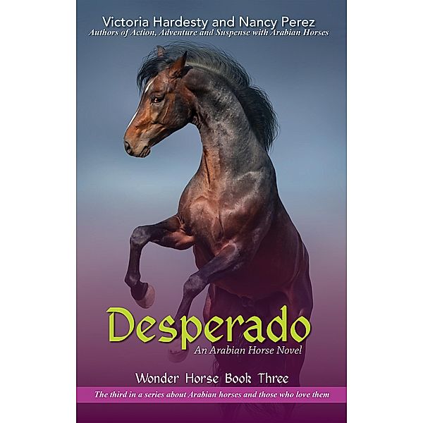 Desperado / Publication Consultants, Victoria Hardesty