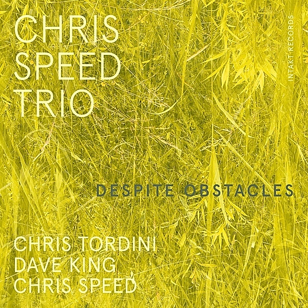 Despite Obstacles, Chris Speed Trio