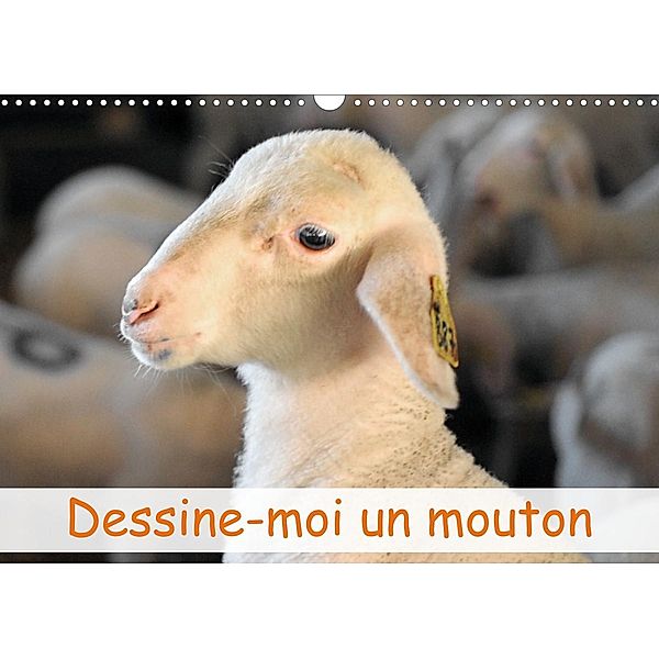 Dessine-moi un mouton (Calendrier mural 2023 DIN A3 horizontal), Patrice Thébault
