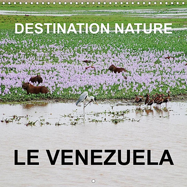 Destination nature le Venezuela (Calendrier mural 2023 300 × 300 mm Square), Rudolf Blank