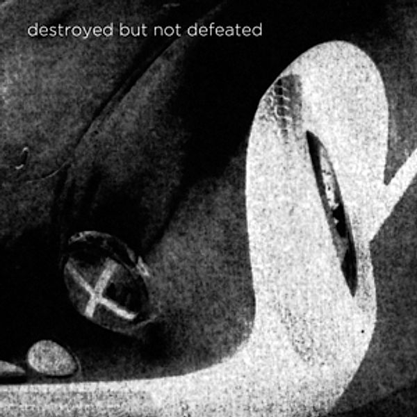 Destroyed But Not Defeated (Vinyl), Destroyed But Not Defeated