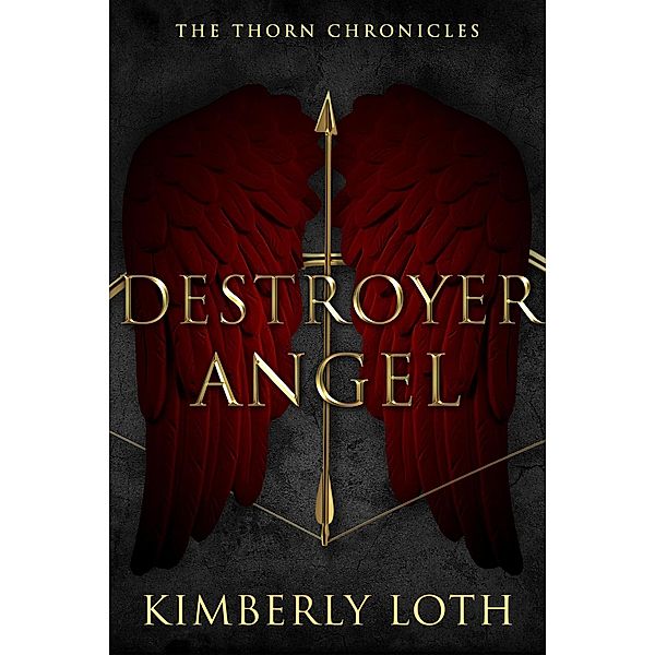 Destroyer Angel (The Thorn Chronicles, #2) / The Thorn Chronicles, Kimberly Loth