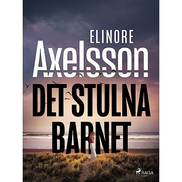 Det stulna barnet / Ett fall för Lewén Bd.1, Elinore Axelsson