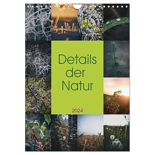 Details der Natur (Wandkalender 2024 DIN A4 hoch), CALVENDO Monatskalender, Sebastian Brand