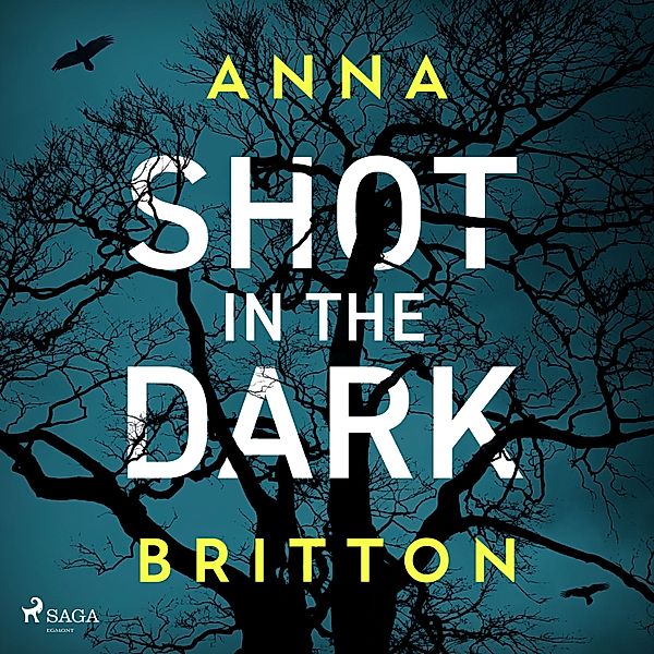 Detectives Martin and Stern - 1 - Shot in the Dark, Anna Britton