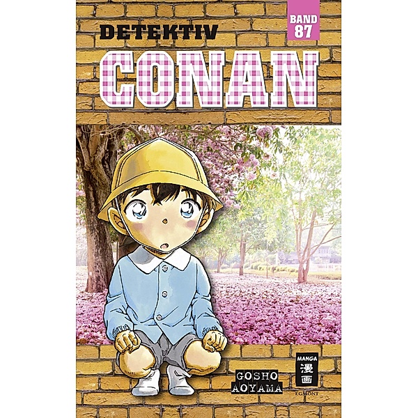Detektiv Conan Bd.87, Gosho Aoyama