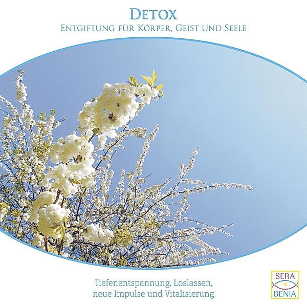 Detox - Entgiftung für Körper, Geist und Seele, 1 Audio-CD, Seraphine Monien