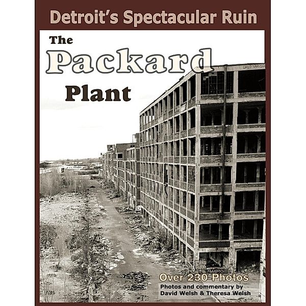 Detroit's Spectacular Ruin: The Packard Plant, Theresa Welsh