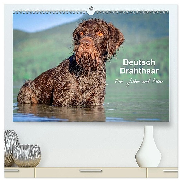 Deutsch Drahthaar - Ein Jahr mit Max (hochwertiger Premium Wandkalender 2024 DIN A2 quer), Kunstdruck in Hochglanz, wuffclick-pic