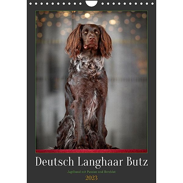 Deutsch Langhaar Butz - Jagdhund mit Passion und Herzblut (Wandkalender 2023 DIN A4 hoch), Nadine Gerlach