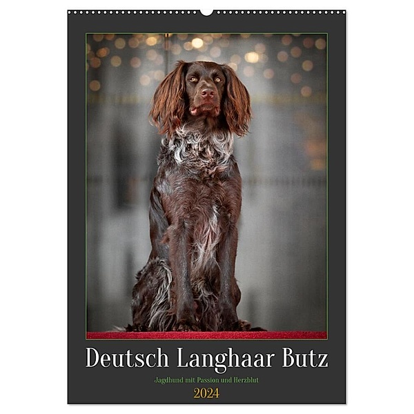 Deutsch Langhaar Butz - Jagdhund mit Passion und Herzblut (Wandkalender 2024 DIN A2 hoch), CALVENDO Monatskalender, Nadine Gerlach