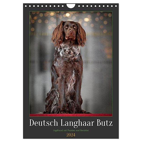 Deutsch Langhaar Butz - Jagdhund mit Passion und Herzblut (Wandkalender 2024 DIN A4 hoch), CALVENDO Monatskalender, Nadine Gerlach