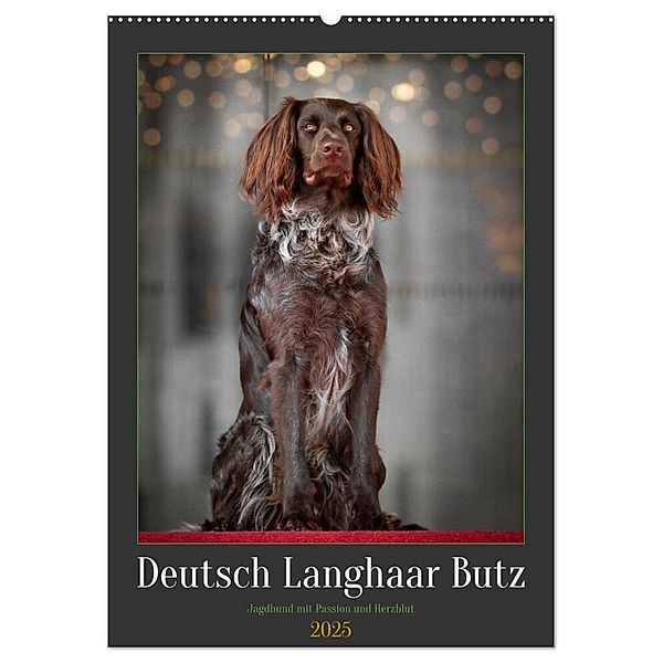 Deutsch Langhaar Butz - Jagdhund mit Passion und Herzblut (Wandkalender 2025 DIN A2 hoch), CALVENDO Monatskalender, Calvendo, Nadine Gerlach