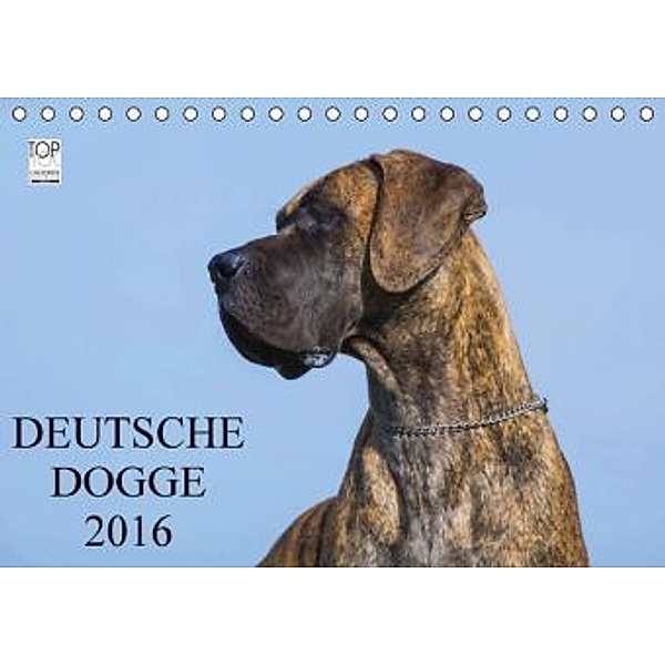 Deutsche Dogge 2016 (Tischkalender 2016 DIN A5 quer), Sigrid Starick