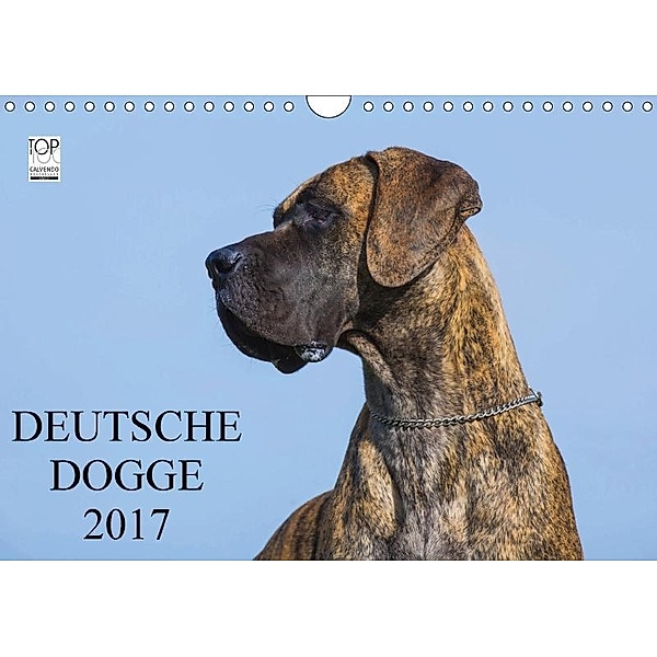Deutsche Dogge 2017 (Wandkalender 2017 DIN A4 quer), Sigrid Starick