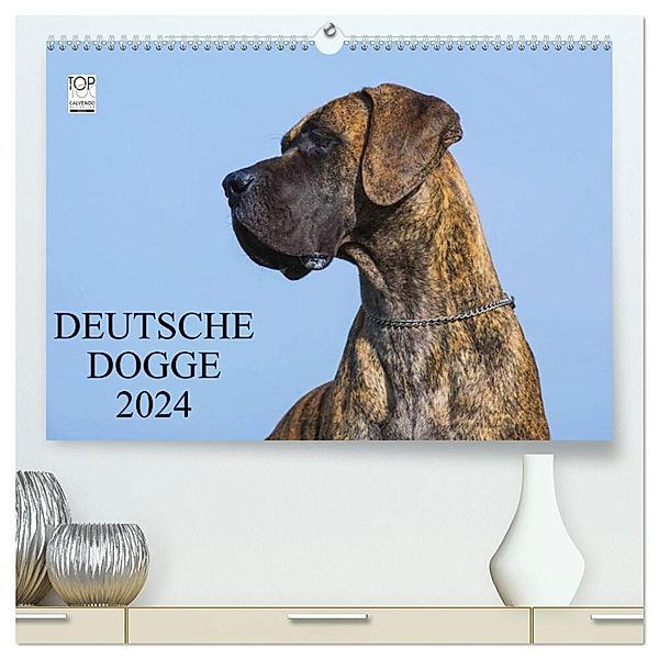 Deutsche Dogge 2024 (hochwertiger Premium Wandkalender 2024 DIN A2 quer), Kunstdruck in Hochglanz, Sigrid Starick