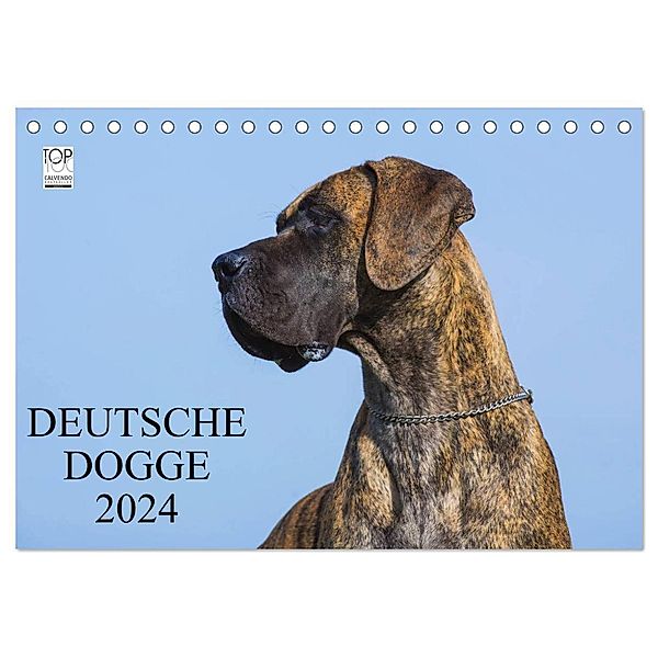 Deutsche Dogge 2024 (Tischkalender 2024 DIN A5 quer), CALVENDO Monatskalender, Sigrid Starick