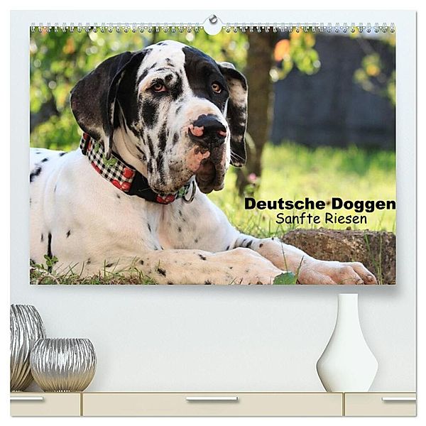 Deutsche Doggen - Sanfte Riesen (hochwertiger Premium Wandkalender 2024 DIN A2 quer), Kunstdruck in Hochglanz, Marion Reiss - Seibert