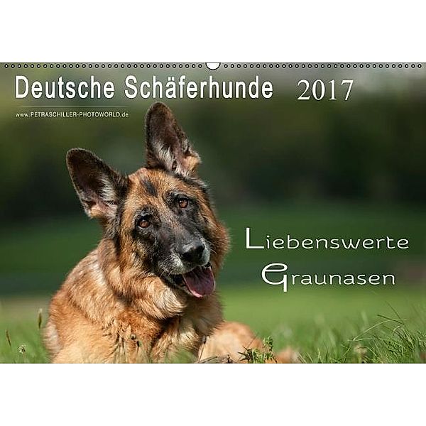 Deutsche Schäferhunde - Liebenswerte Graunasen (Wandkalender 2017 DIN A2 quer), Petra Schiller