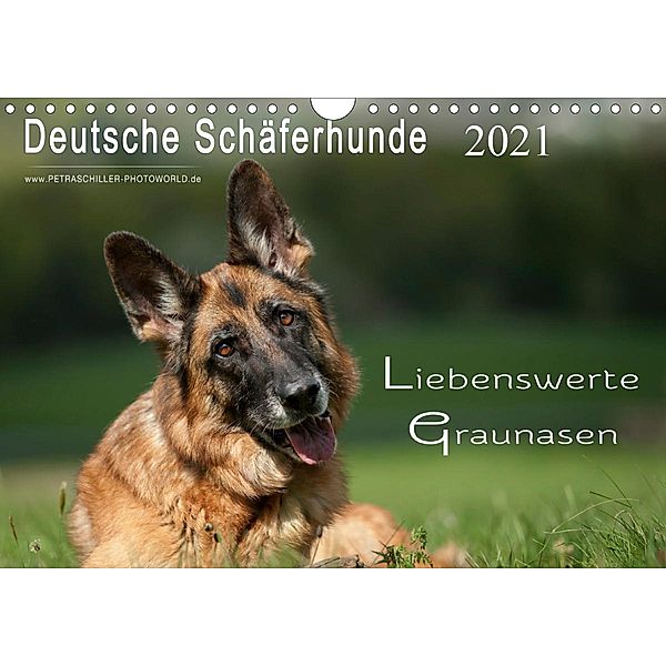 Deutsche Schäferhunde - Liebenswerte Graunasen (Wandkalender 2021 DIN A4 quer), Petra Schiller