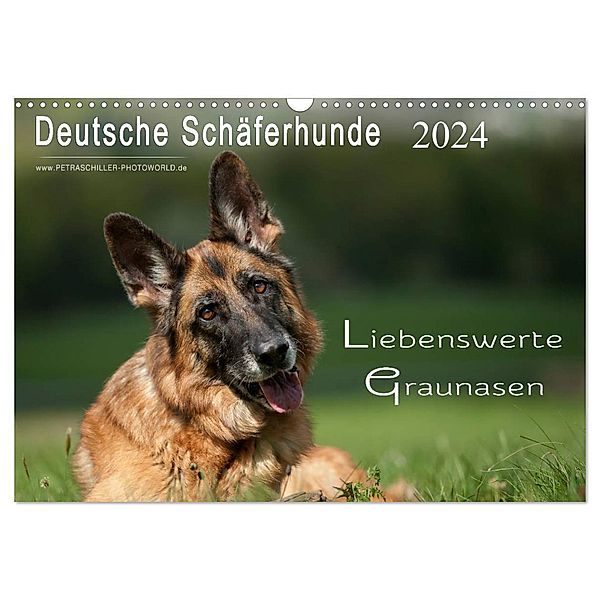 Deutsche Schäferhunde - Liebenswerte Graunasen (Wandkalender 2024 DIN A3 quer), CALVENDO Monatskalender, Petra Schiller