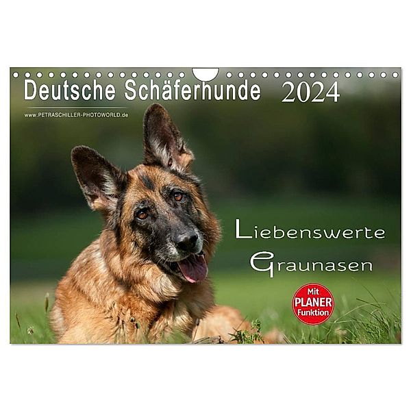 Deutsche Schäferhunde - Liebenswerte Graunasen (Wandkalender 2024 DIN A4 quer), CALVENDO Monatskalender, Petra Schiller