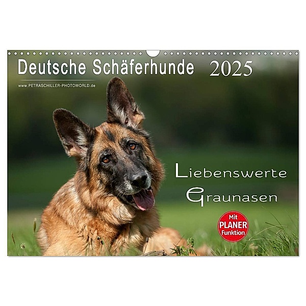 Deutsche Schäferhunde - Liebenswerte Graunasen (Wandkalender 2025 DIN A3 quer), CALVENDO Monatskalender, Calvendo, Petra Schiller