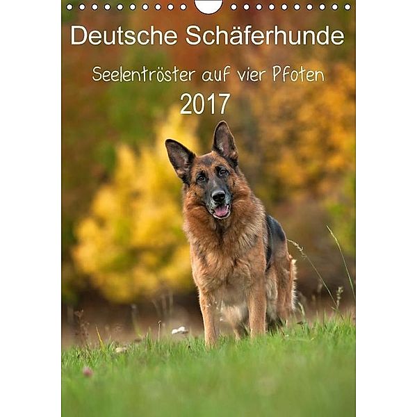Deutsche Schäferhunde - Seelentröster auf vier Pfoten (Wandkalender 2017 DIN A4 hoch), Petra Schiller