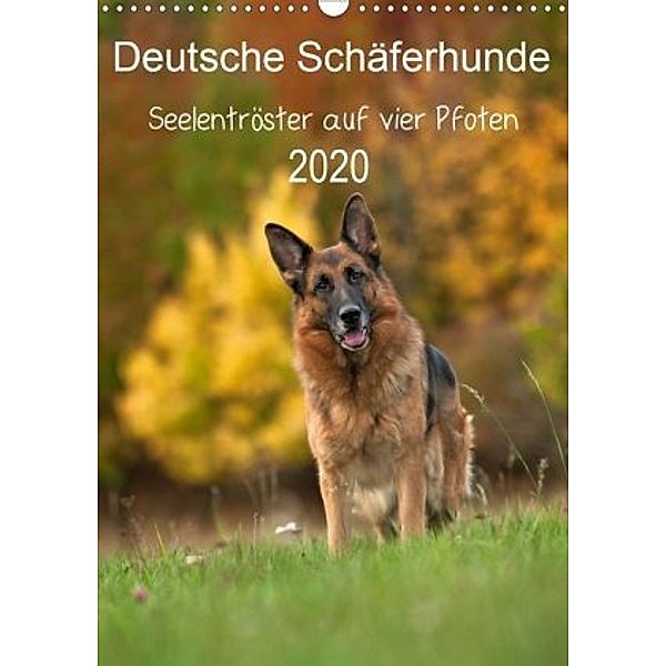 Deutsche Schäferhunde - Seelentröster auf vier Pfoten (Wandkalender 2020 DIN A3 hoch), Petra Schiller
