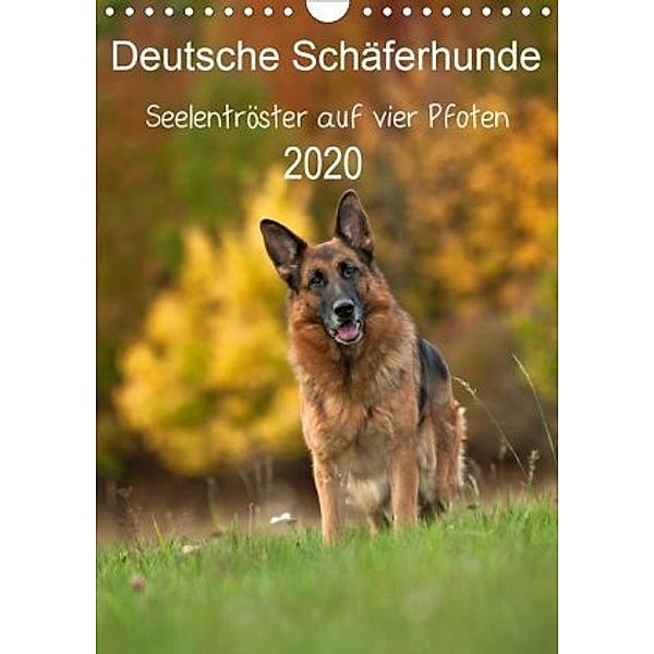 Deutsche Schäferhunde - Seelentröster auf vier Pfoten (Wandkalender 2020 DIN A4 hoch), Petra Schiller