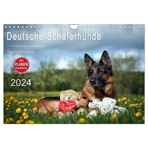 Deutsche Schäferhunde Seelentröster (Wandkalender 2024 DIN A4 quer), CALVENDO Monatskalender, Petra Schiller