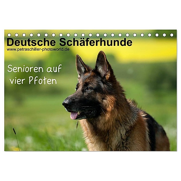 Deutsche Schäferhunde - Senioren auf vier Pfoten (Tischkalender 2024 DIN A5 quer), CALVENDO Monatskalender, Petra Schiller