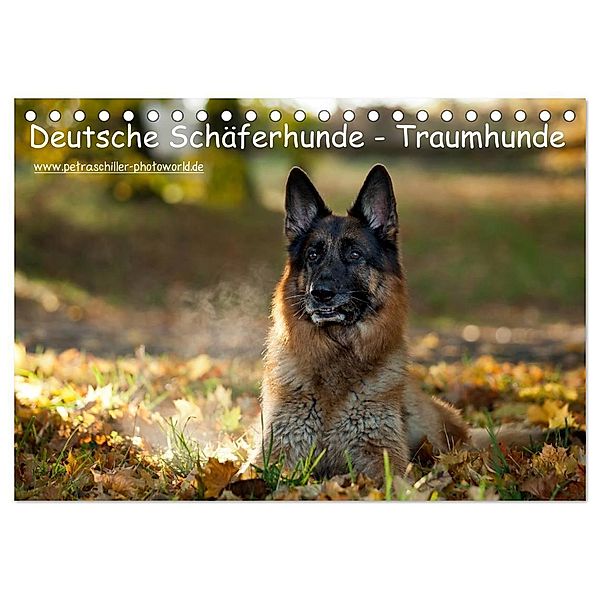 Deutsche Schäferhunde - Traumhunde (Tischkalender 2024 DIN A5 quer), CALVENDO Monatskalender, Petra Schiller