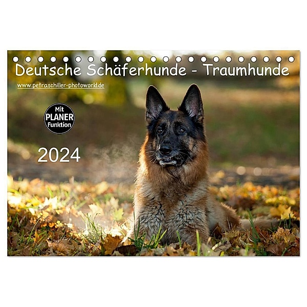 Deutsche Schäferhunde - Traumhunde (Tischkalender 2024 DIN A5 quer), CALVENDO Monatskalender, Petra Schiller