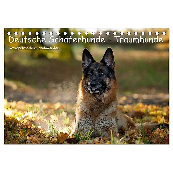 Deutsche Schäferhunde - Traumhunde (Tischkalender 2025 DIN A5 quer), CALVENDO Monatskalender, Calvendo, Petra Schiller