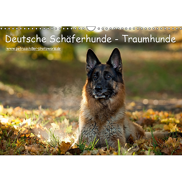 Deutsche Schäferhunde - Traumhunde (Wandkalender 2019 DIN A3 quer), Petra Schiller