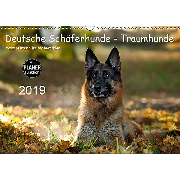 Deutsche Schäferhunde - Traumhunde (Wandkalender 2019 DIN A3 quer), Petra Schiller