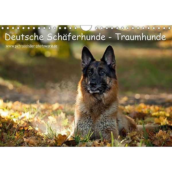 Deutsche Schäferhunde - Traumhunde (Wandkalender 2020 DIN A4 quer), Petra Schiller