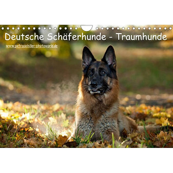Deutsche Schäferhunde - Traumhunde (Wandkalender 2022 DIN A4 quer), Petra Schiller