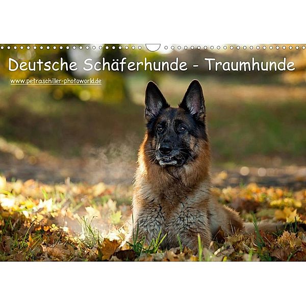 Deutsche Schäferhunde - Traumhunde (Wandkalender 2023 DIN A3 quer), Petra Schiller