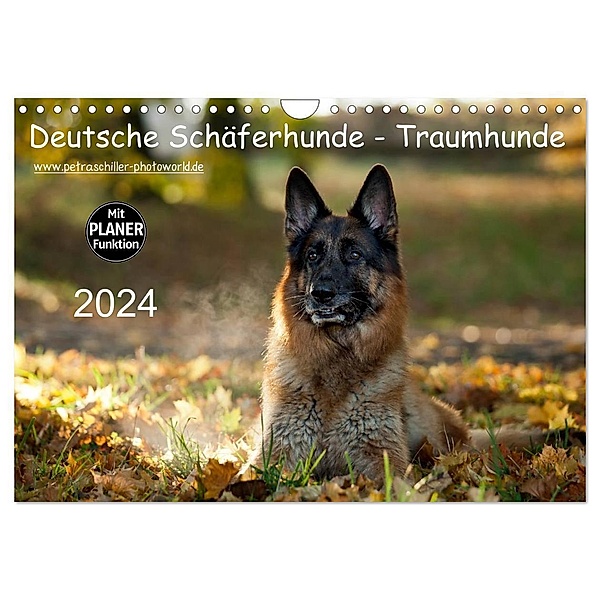 Deutsche Schäferhunde - Traumhunde (Wandkalender 2024 DIN A4 quer), CALVENDO Monatskalender, Petra Schiller