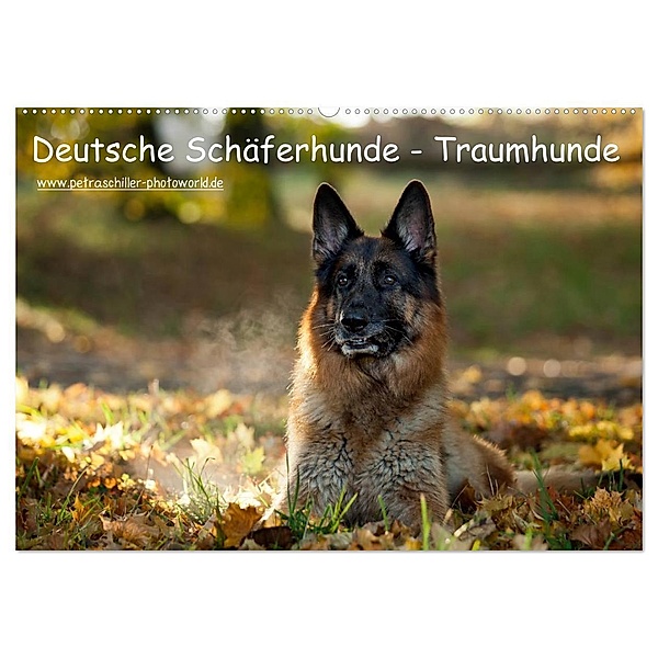 Deutsche Schäferhunde - Traumhunde (Wandkalender 2025 DIN A2 quer), CALVENDO Monatskalender, Calvendo, Petra Schiller