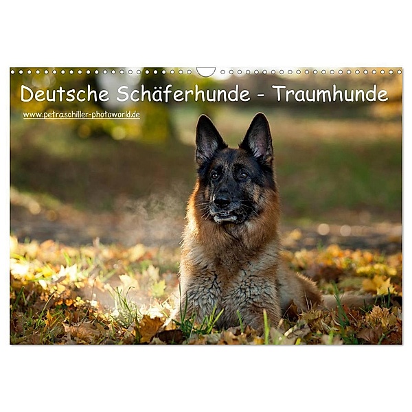 Deutsche Schäferhunde - Traumhunde (Wandkalender 2025 DIN A3 quer), CALVENDO Monatskalender, Calvendo, Petra Schiller