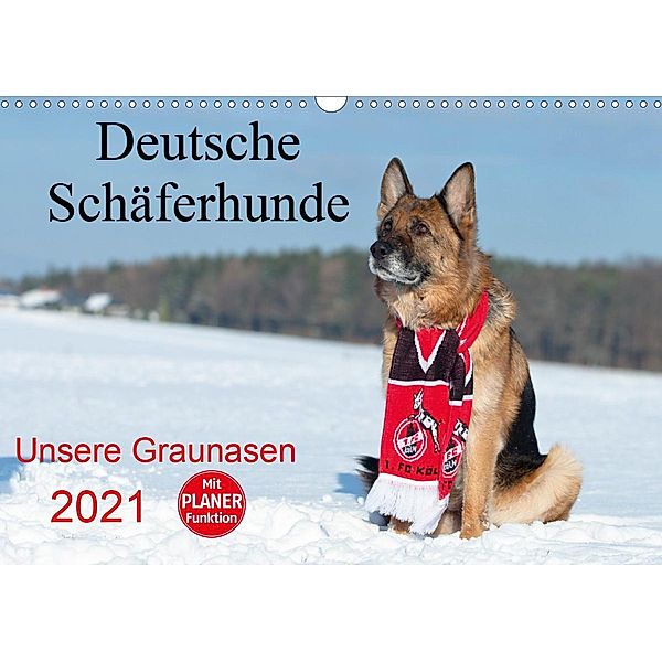 Deutsche Schäferhunde Unsere Graunasen (Wandkalender 2021 DIN A3 quer), Petra Schiller